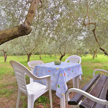 Apartman Dragica 929 *