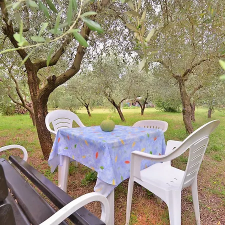 Dragica 929 Apartman Fažana